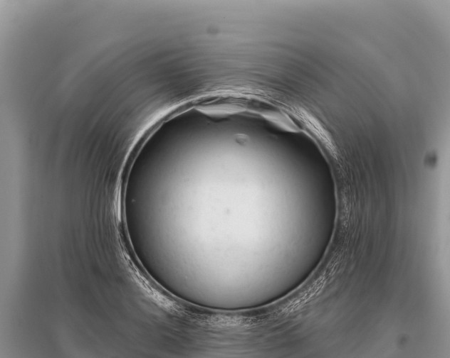 X0000096191036200801251235