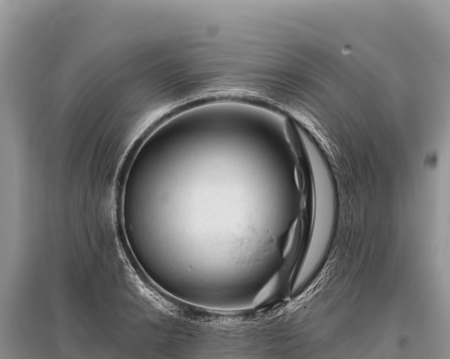X0000096191038200801251235