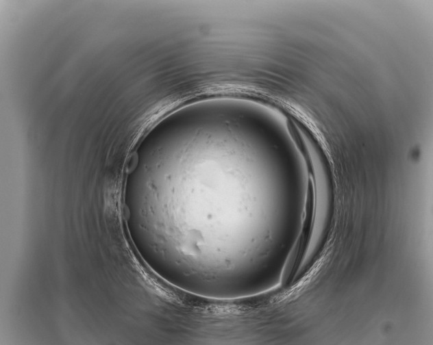 X0000096191041200801251235