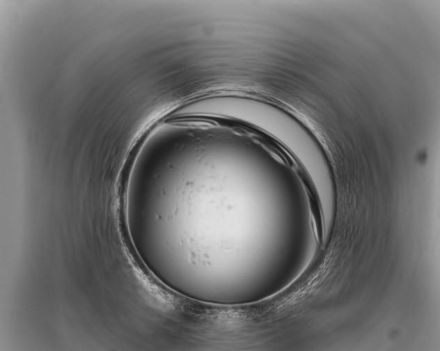 X0000096191042200801251235