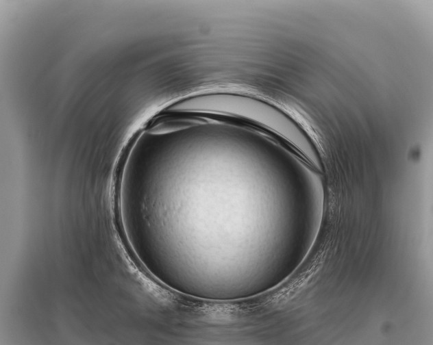X0000096191046200801251235