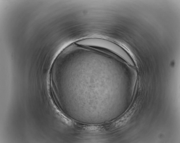 X0000096191048200801251235