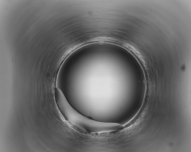 X0000096191049200801251235