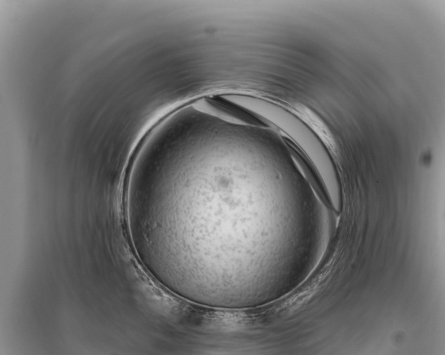 X0000096191052200801251235