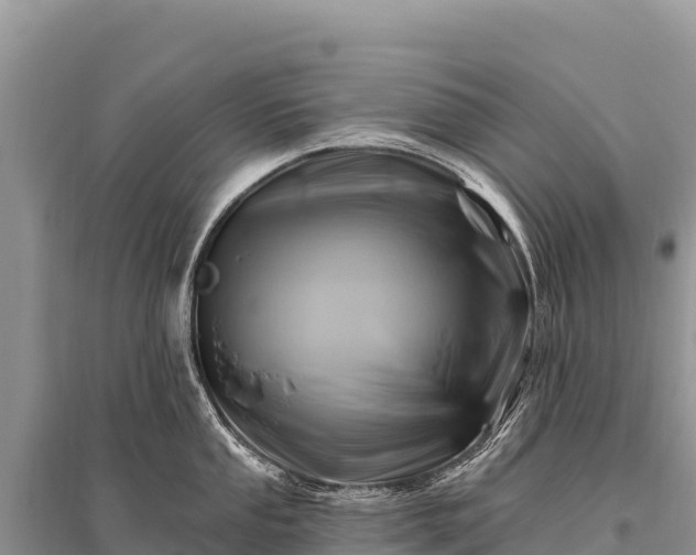X0000096191053200801251235