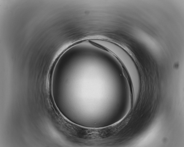 X0000096191054200801251235