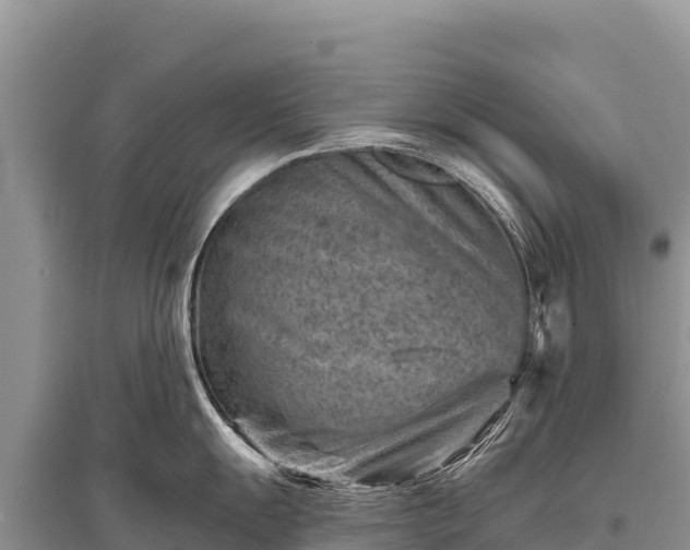 X0000096191055200801251235