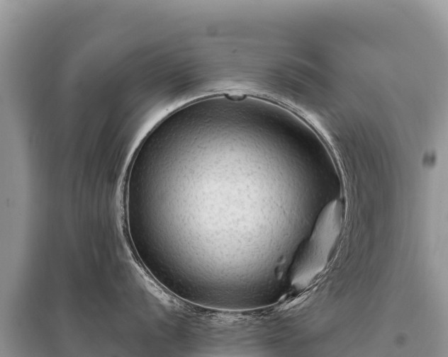 X0000096191056200801251235