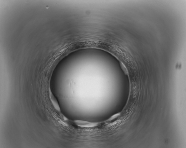 X0000096191057200801251235