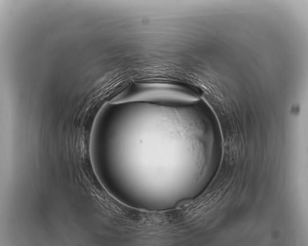 X0000096191058200801251235
