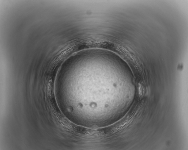 X0000096191059200801251235