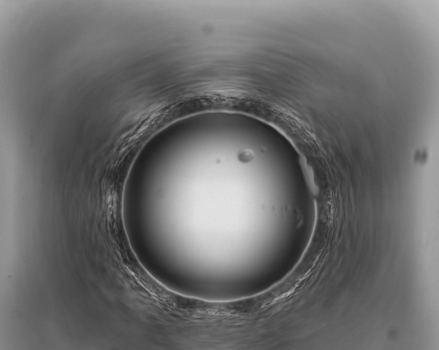X0000096191061200801251235