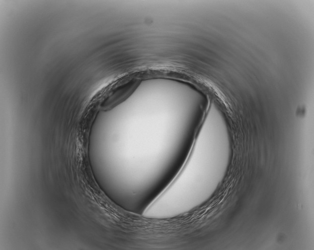 X0000096191064200801251235