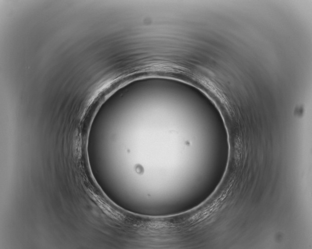 X0000096191067200801251234