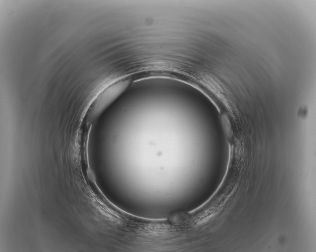 X0000096191068200801251234