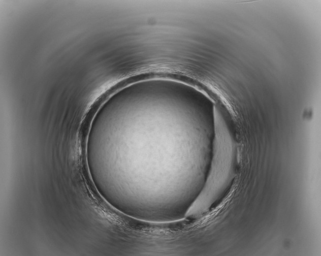 X0000096191070200801251234