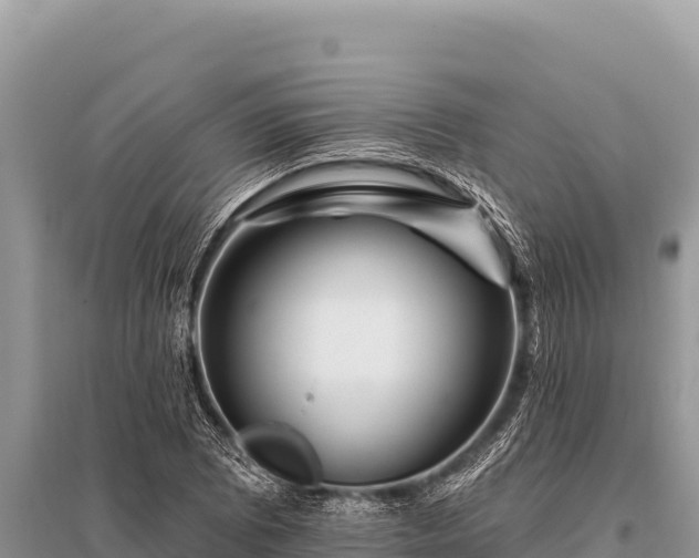 X0000096191073200801251234