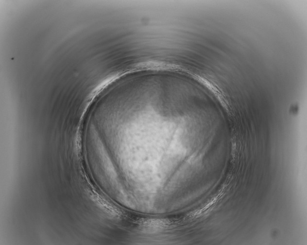 X0000096191074200801251234