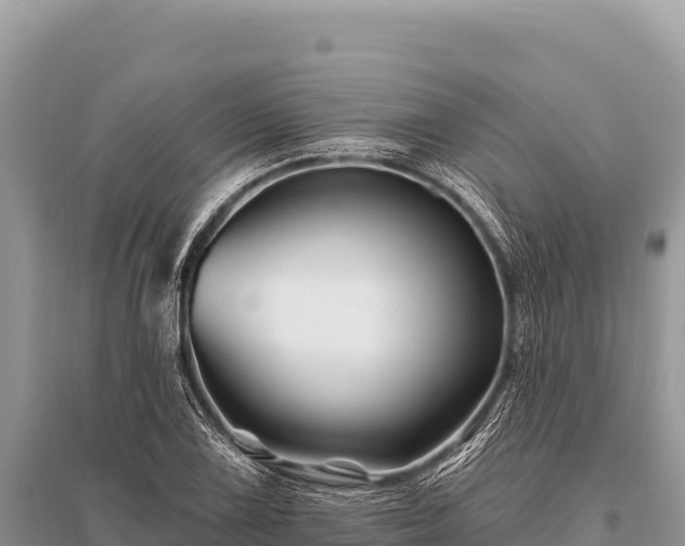 X0000096191075200801251234