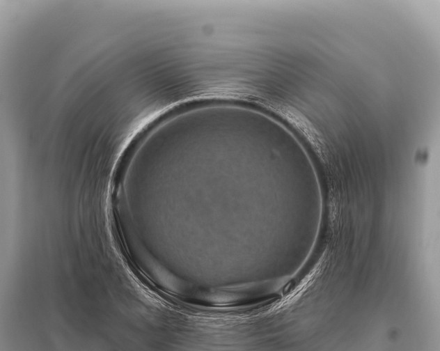 X0000096191077200801251234