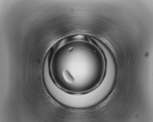 X0000096191081200801251234