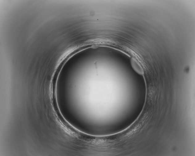 X0000096191082200801251234