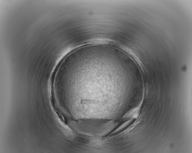 X0000096191083200801251234