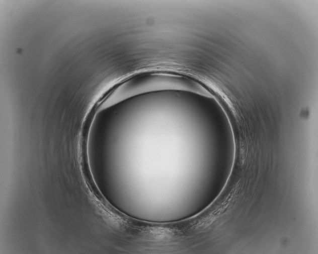 X0000096191085200801251234