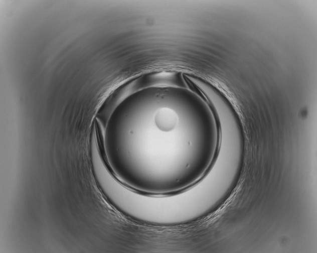 X0000096191089200801251234