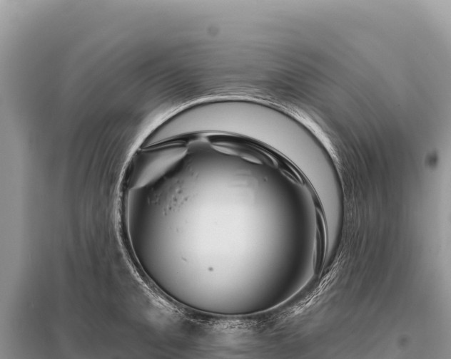 X0000096191093200801251234