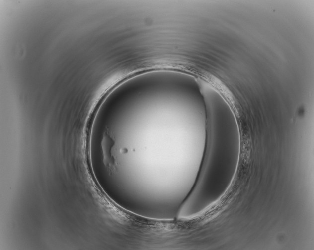 X0000096191096200801251234