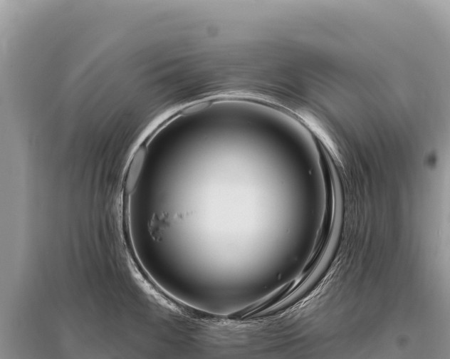 X0000096191100200801251234
