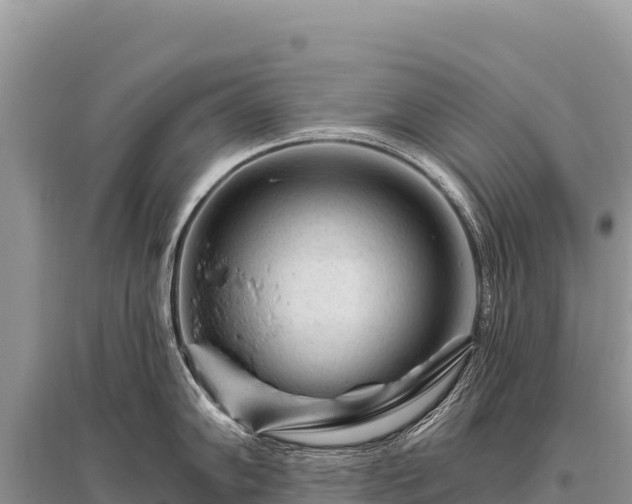 X0000096191102200801251234