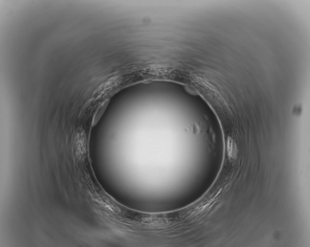 X0000096191107200801251233