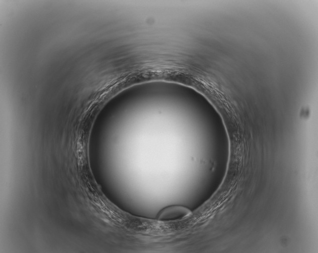 X0000096191109200801251233