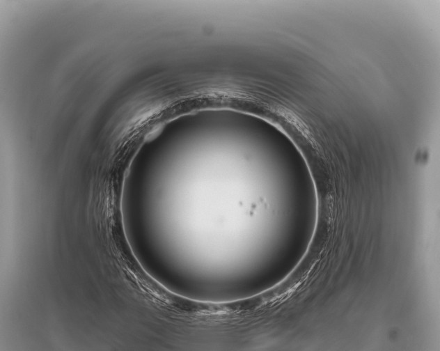 X0000096191111200801251233