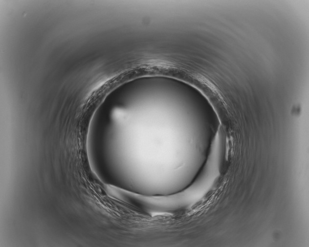 X0000096191112200801251233