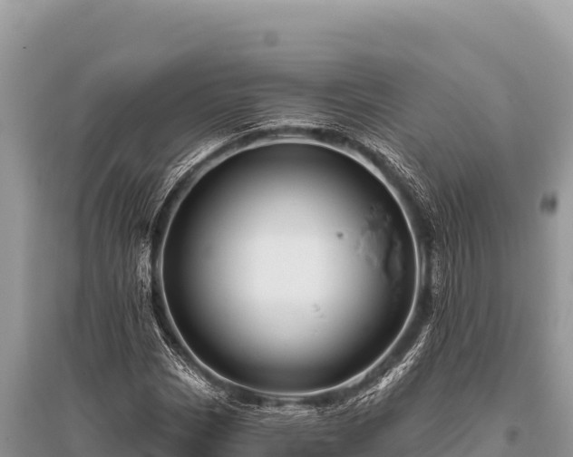 X0000096191113200801251233