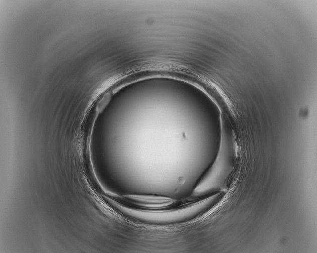 X0000096191114200801251233