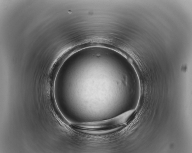 X0000096191115200801251233