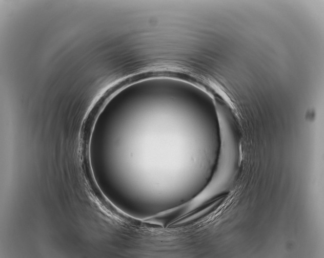 X0000096191116200801251233