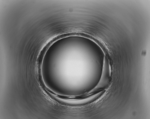 X0000096191118200801251233