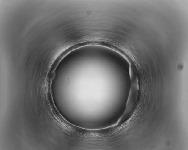 X0000096191119200801251233