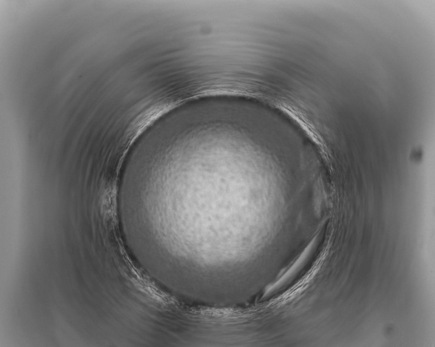X0000096191121200801251233