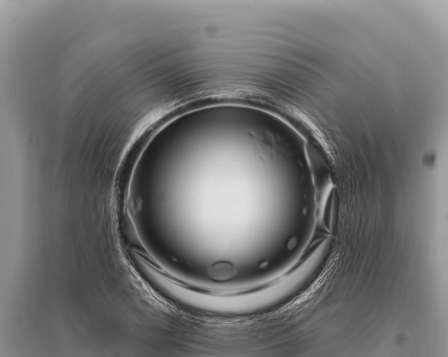 X0000096191122200801251233