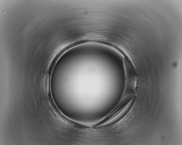 X0000096191123200801251233