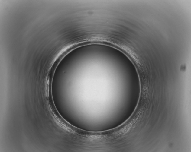 X0000096191126200801251233