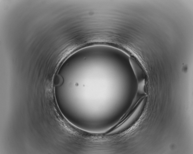 X0000096191129200801251233