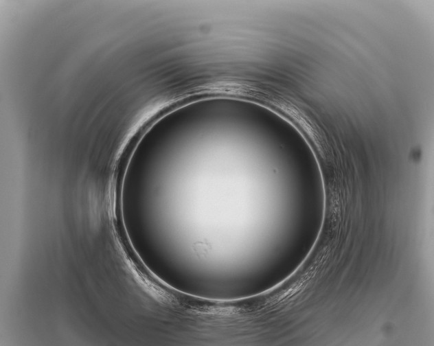 X0000096191131200801251234