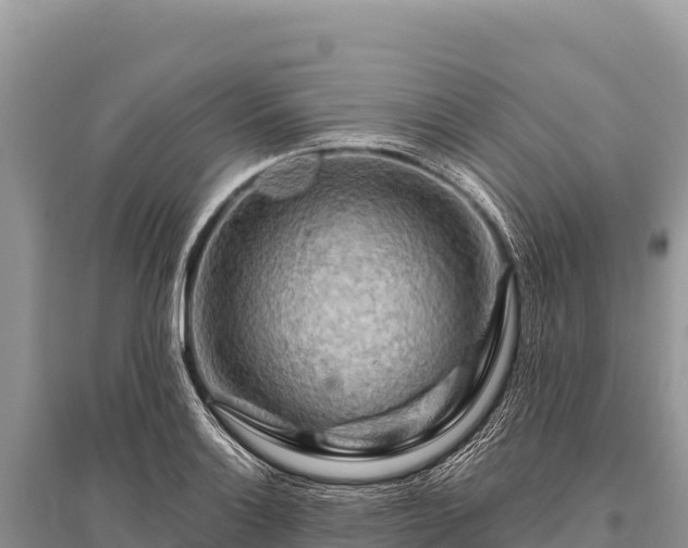 X0000096191132200801251234